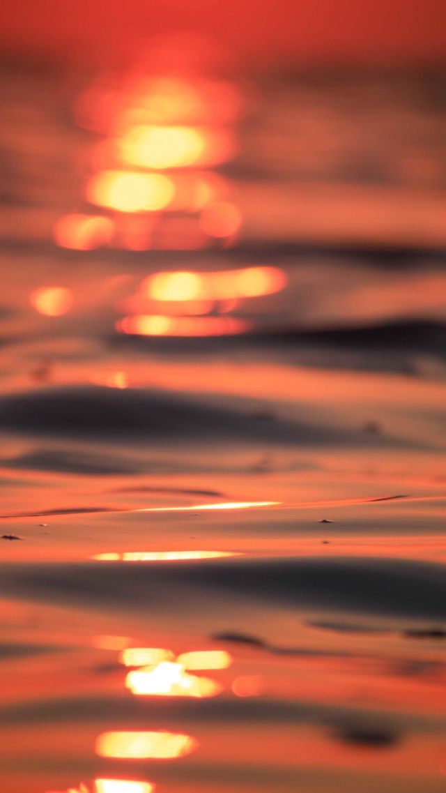 Petite exploration pour capturer le lever de Soleil, et on laisse le Soleil et le Gois faire leur travail... 🤩🔥
.
.
.
.
@iledenoirmoutiertourisme #noirmoutier #noirmoutierpassionnement #ouvriersdelaruche #guiruch #frenchvisuals #oceandecouleurs #northfeature #theocsphoto #lightshadowcreative #explographies #igworldclub_sunset #colapsestudio #sunset_perfection #sunsetphotosession #sunsetphotographylover #sunsetphotography📷🌄 #sunsetphotograph #sunsetphotographer #sunsetphotoshoot #sunrises_and_sunsets #sunsrise_and_sunsetaroundworld #sunriseview #sunriseandsunsets #sunriseandsunsetworld #sunrisebeach #goldenhours #goldenhouraesthetic #goldenhourlove #goldenhourphoto via @preview.app