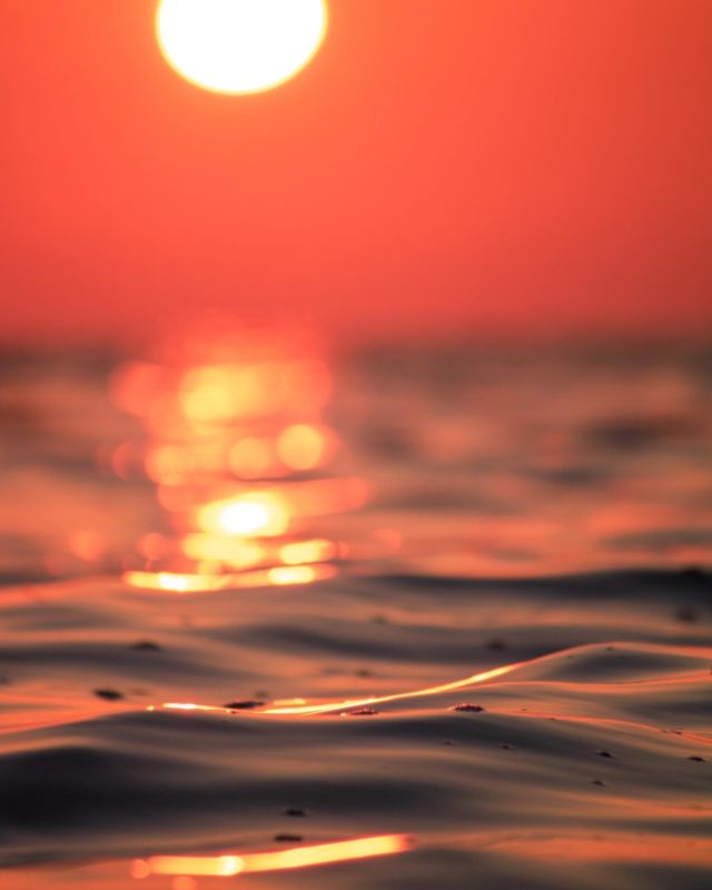 The reflection
Of the sun
In the sea 🌅🌊

La mer agitée qui monte, le Soleil qui sort de sa cachette, et les rayons dorées, c’est le combo parfait pour capturer le début de la journée 🤩🔥

Sun_Reflection : 1/3

#zeinberg @zeinberg @iledenoirmoutiertourisme #noirmoutier #noirmoutierpassionnement #ouvriersdelaruche #guiruch #frenchvisuals #oceandecouleurs #northfeature #theocsphoto #lightshadowcreative #explographies #igworldclub_sunset #colapsestudio #sunset_perfection #sunsetphotosession #sunsetphotographylover #sunsetphotography📷🌄 #sunsetphotograph #sunsetphotographer #sunsetphotoshoot #sunrises_and_sunsets #sunsrise_and_sunsetaroundworld #sunriseview #sunriseandsunsets #sunriseandsunsetworld #sunrisebeach #goldenhours #goldenhouraesthetic #goldenhourlove #goldenhourphoto
