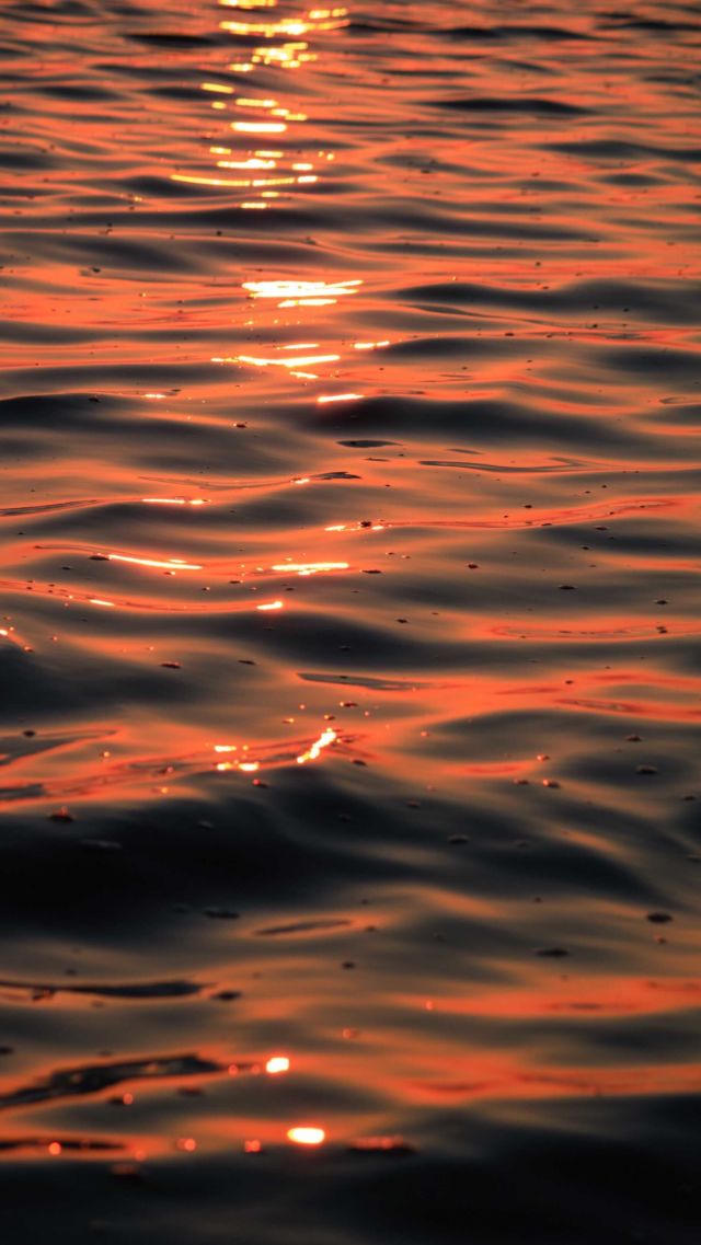Découvrez le lever du Soleil, le début de la journée avec moi à Barbâtre... 😍🔥
.
.
.
@iledenoirmoutiertourisme #noirmoutier #noirmoutierpassionnement #ouvriersdelaruche #guiruch #frenchvisuals #oceandecouleurs #northfeature #theocsphoto #lightshadowcreative #explographies #igworldclub_sunset #colapsestudio #sunset_perfection #sunsetphotosession #sunsetphotographylover #sunsetphotography📷🌄 #sunsetphotograph #sunsetphotographer #sunsetphotoshoot #sunrises_and_sunsets #sunsrise_and_sunsetaroundworld #sunriseview #sunriseandsunsets #sunriseandsunsetworld #sunrisebeach #goldenhours #goldenhouraesthetic #goldenhourlove #goldenhourphoto via @preview.app